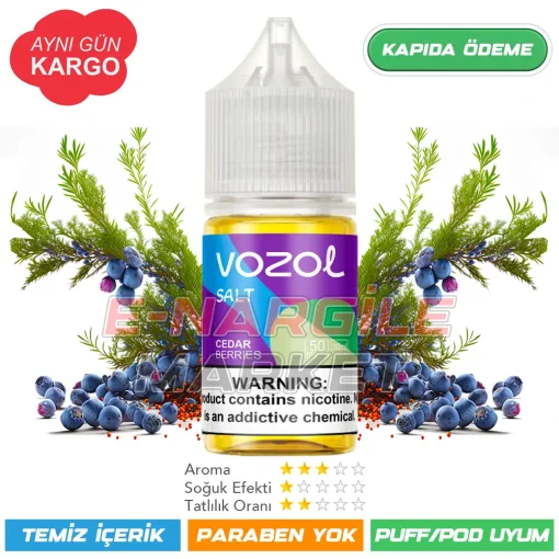 Vozol Likit Sedir Meyveleri Salt 30ml