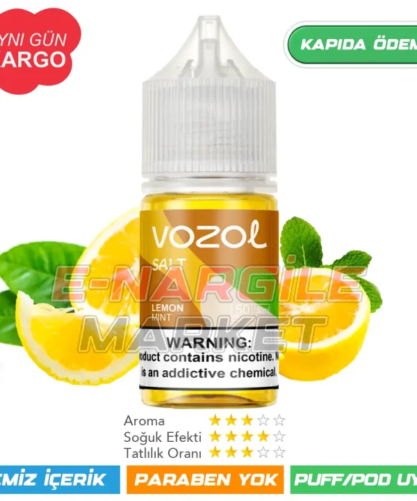 Vozol Likit Nane Limon Salt 30ml